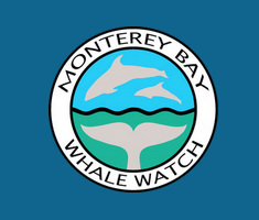 Dark Teal square with a circular logo in the middle made up of a white outer band with 'Monterey Bay Whale Watch' in black letters. The center is a circle divided by a rippling black line. under the line is a teal water with the silhouette of a whale's tail. Above the line is a bright blue field with white silhouettes of leaping dolphins.